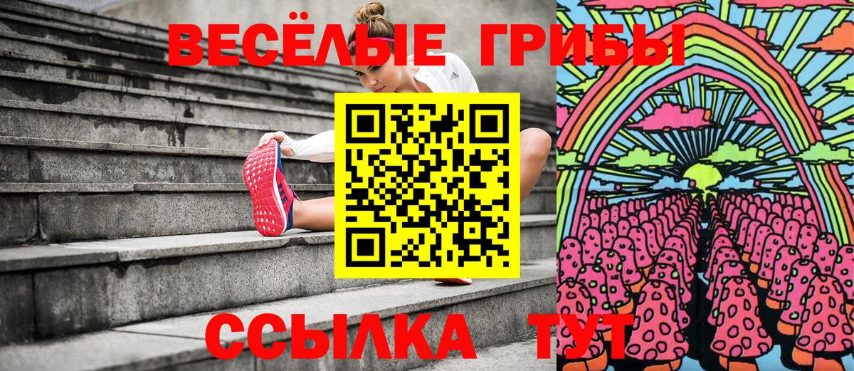 купить наркоту  Вход с VPN  Тельмана  Галлюциногенные грибы Magic Shrooms 